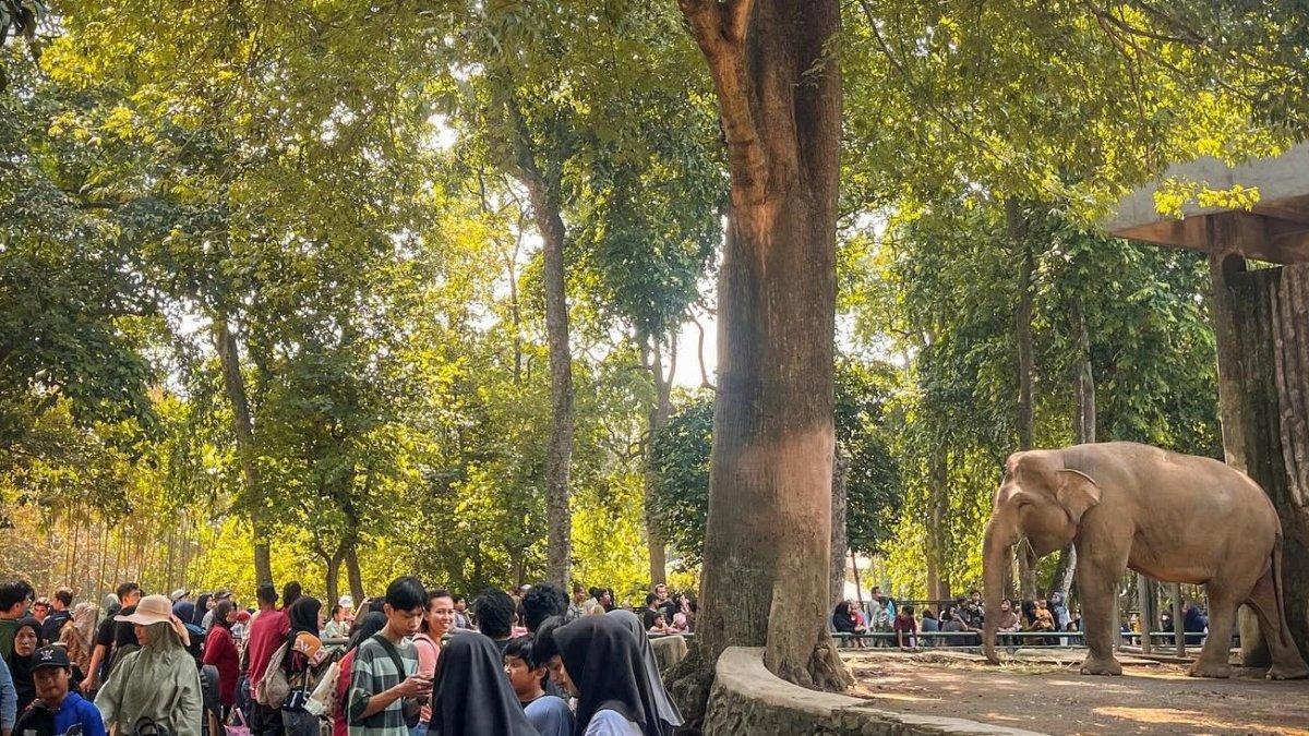 Kebun Binatang Ragunan